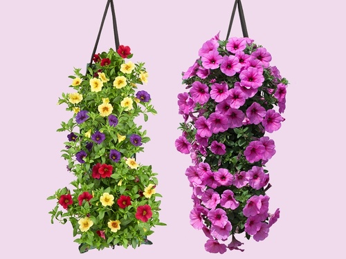 Wandhangers vol zomervibes